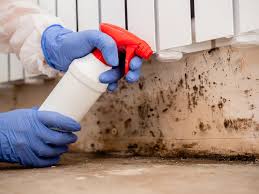 Best Emergency Mold Remediation  in USA